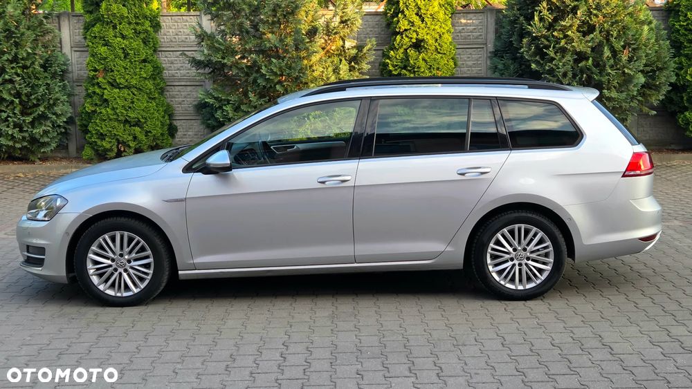 Volkswagen Golf 1.6 TDI BlueMotion Technology Cup - 3