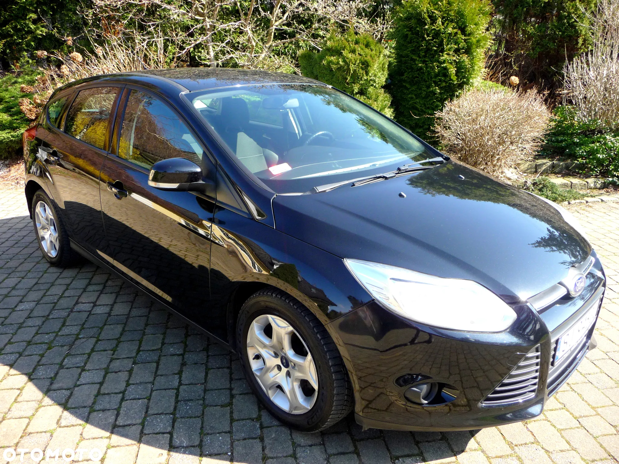Ford Focus 1.6 TDCi Trend - 24