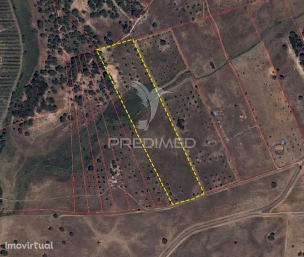 Terreno com mais de 5 hectares para venda em Ferreira do Alentejo - Grande imagem: 2/12