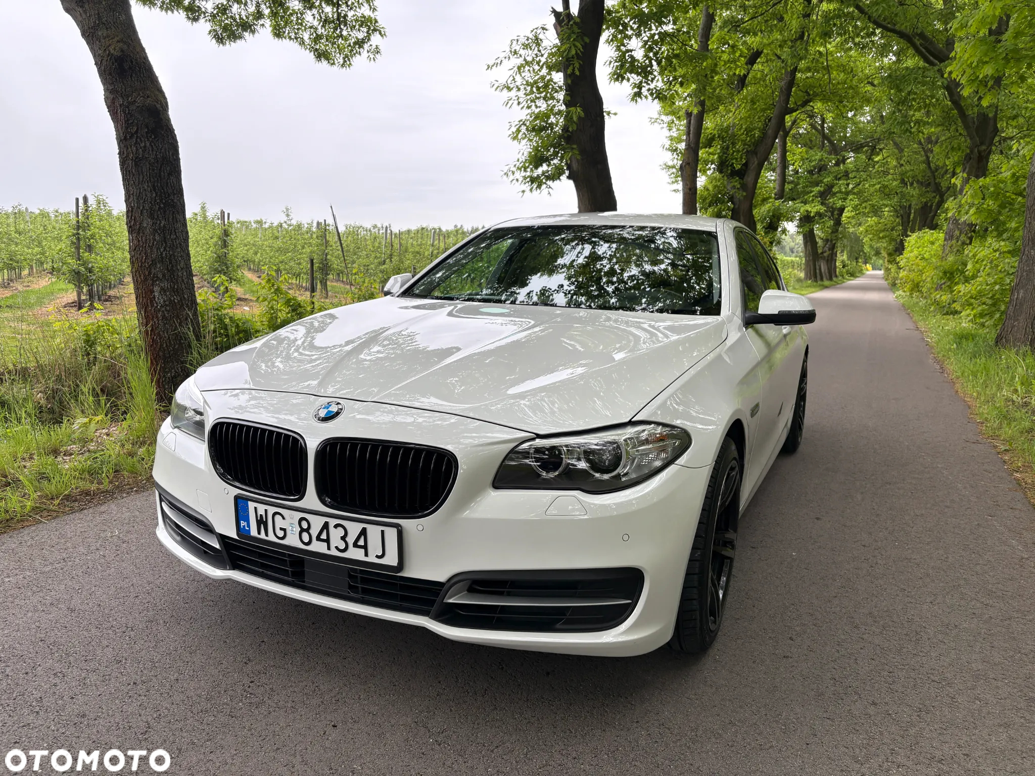 BMW Seria 5 520d - 32