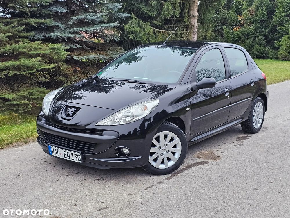 Peugeot 206 plus - 19