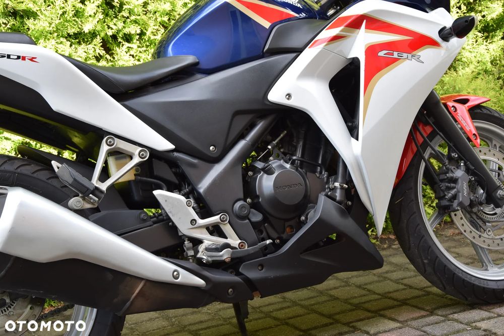 Honda CBR - 6