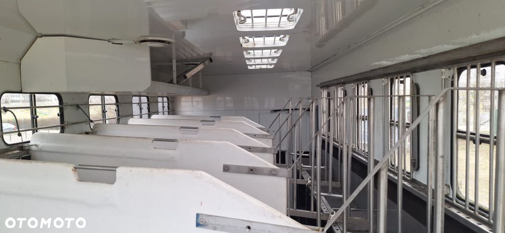 Scania Koniowóz 7-koni + living - 23