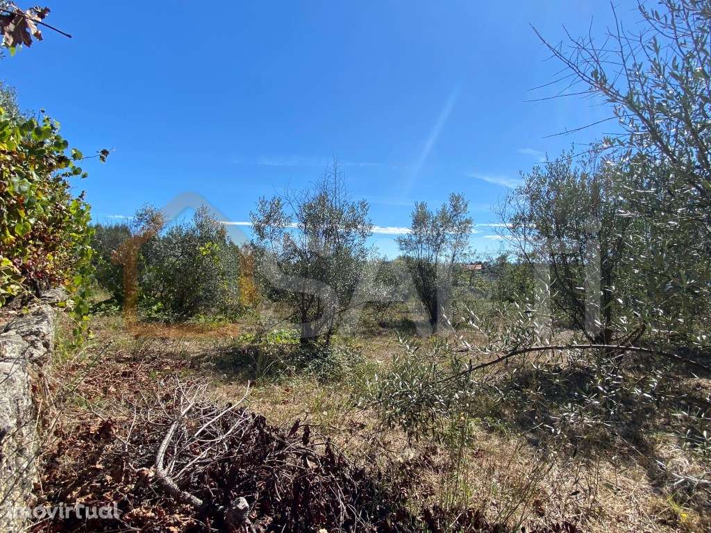 Terreno Rústico em Lajeosa do Dão Tondela Viseu Rio Dão - Grande imagem: 5/12