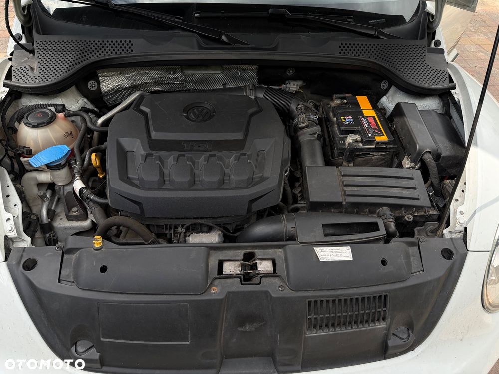 Volkswagen Beetle - 11