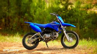 Yamaha TTR