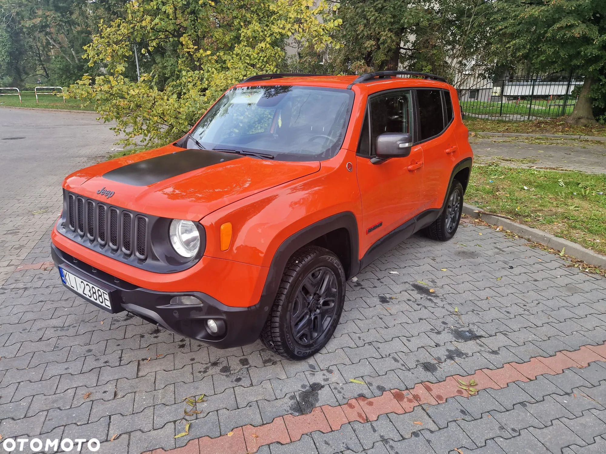 Jeep Renegade 2.0 MultiJet Trailhawk 4WD S&S - 1