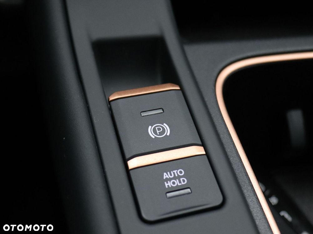 Cupra Terramar 1.5 eHybrid PHEV Advantage Edition DSG - 30