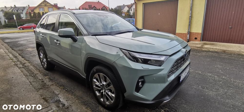 Toyota RAV4 2.5 Hybrid Executive 4x4 - 2