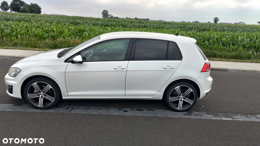 Volkswagen Golf 1.6 TDI BlueMotion Technology Cup - 8