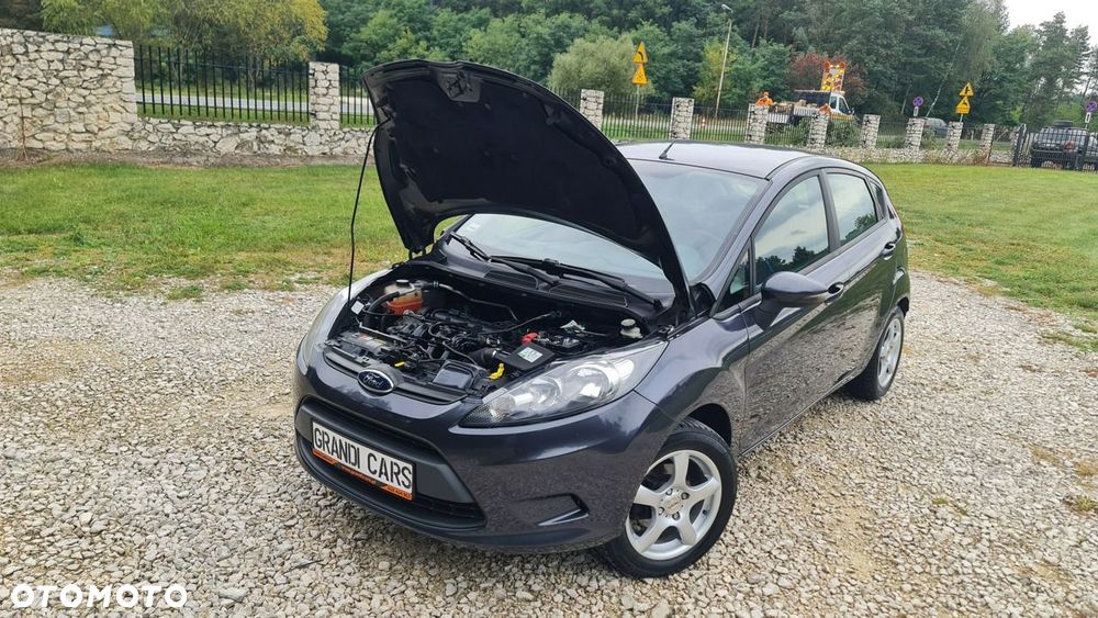 Ford Fiesta - 29