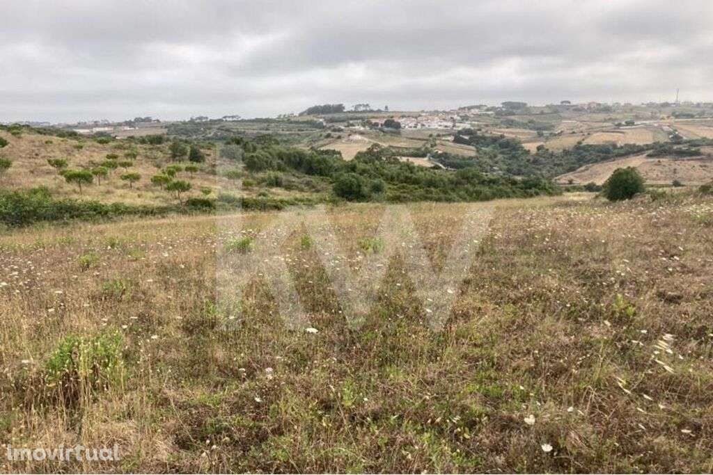 Terreno Agrícola - Assafora - Sintra - Grande imagem: 2/7