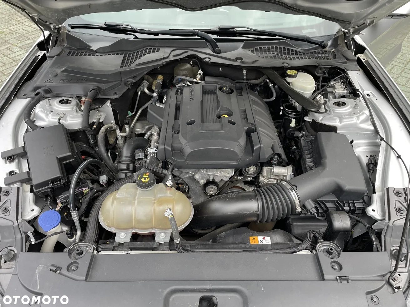 Ford Mustang 2.3 EcoBoost - 26