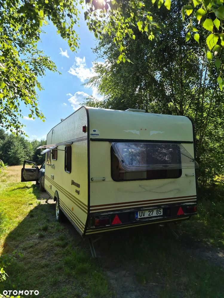Inny Münsterland Siesta 480 - 10