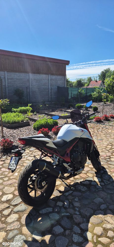 Honda Hornet - 13