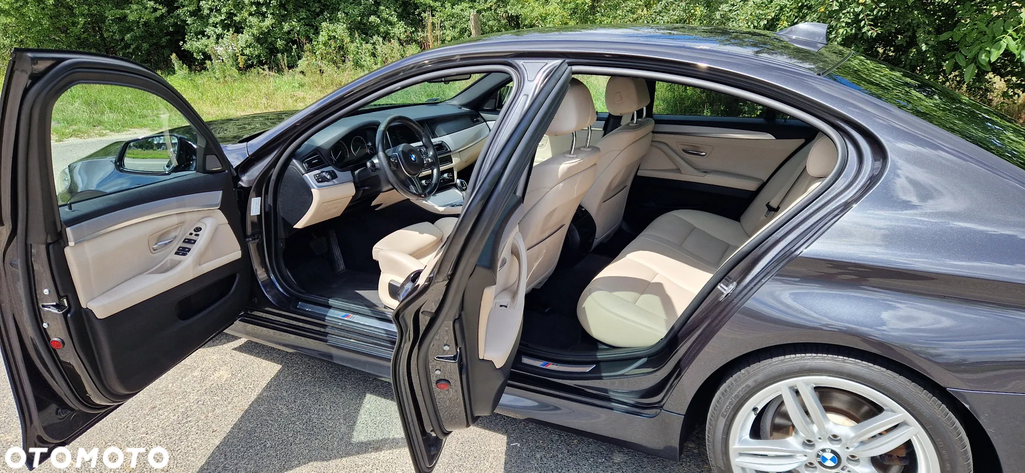 BMW Seria 5 520d xDrive - 8