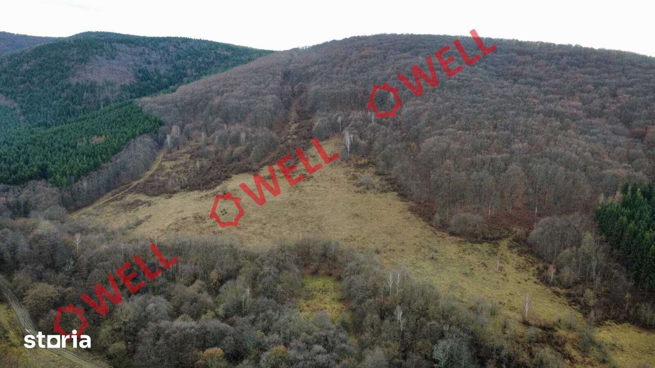 De vânzare teren extravilan în loc.Malnaș - Imagine principală: 3/6