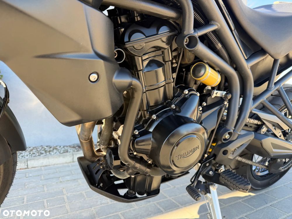 Triumph Tiger - 41