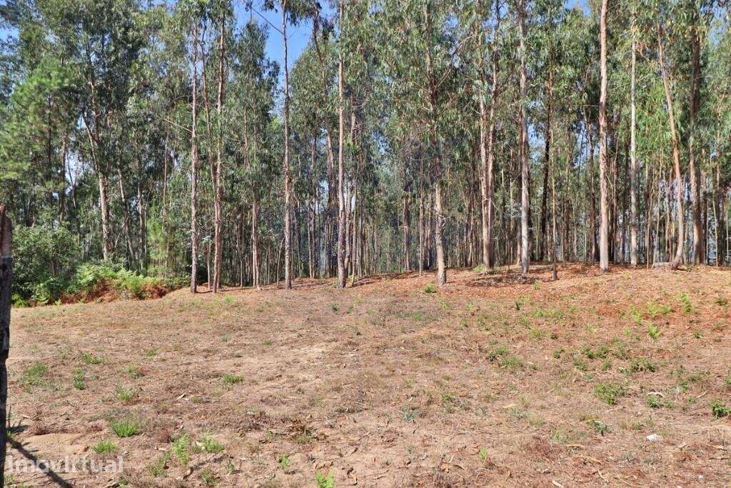 Terreno rústico em Goães, Vila Verde - Com 6030m2 - Grande imagem: 2/25