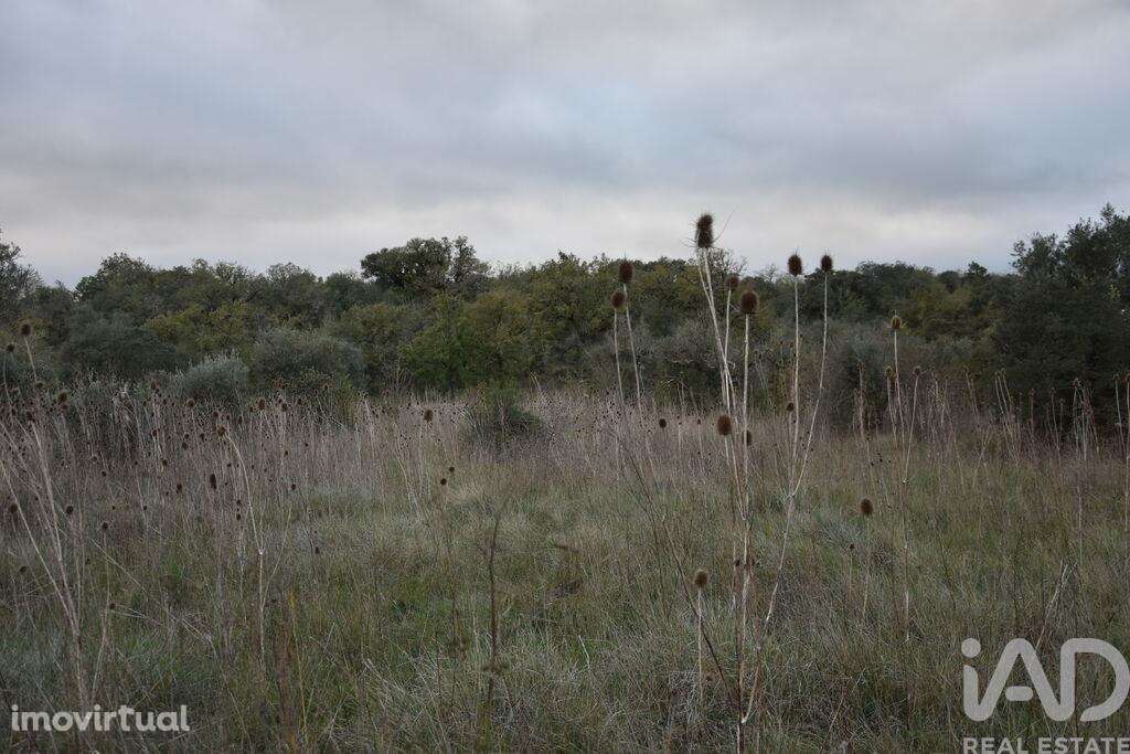 Terreno em Areias e Pias de 2560,00 m2 - Grande imagem: 3/14