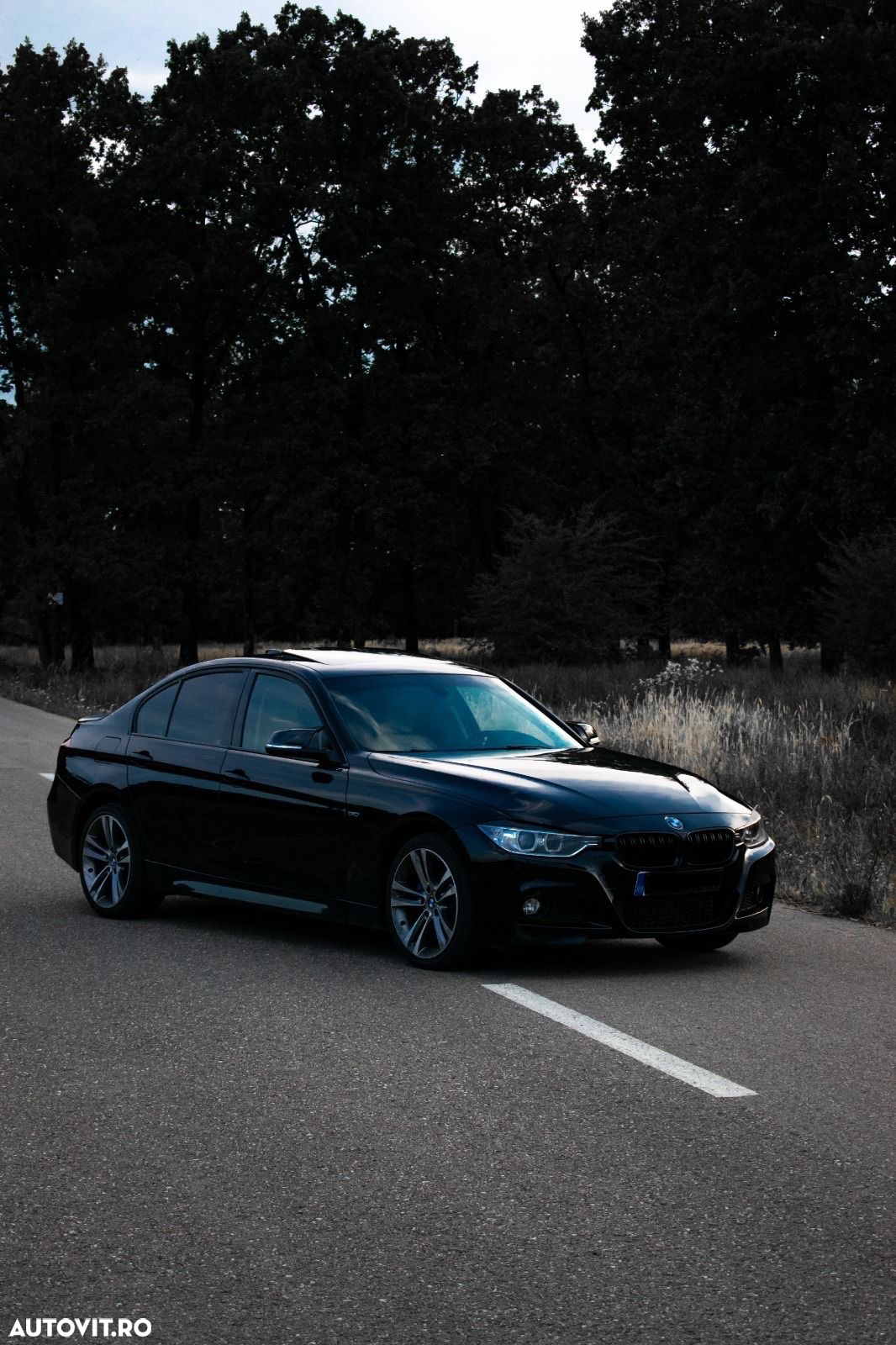 BMW Seria 3 - 16