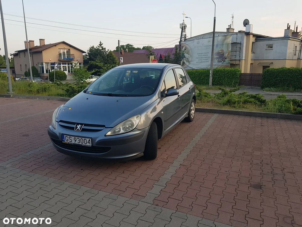 Peugeot 307 1.6 XS - 2