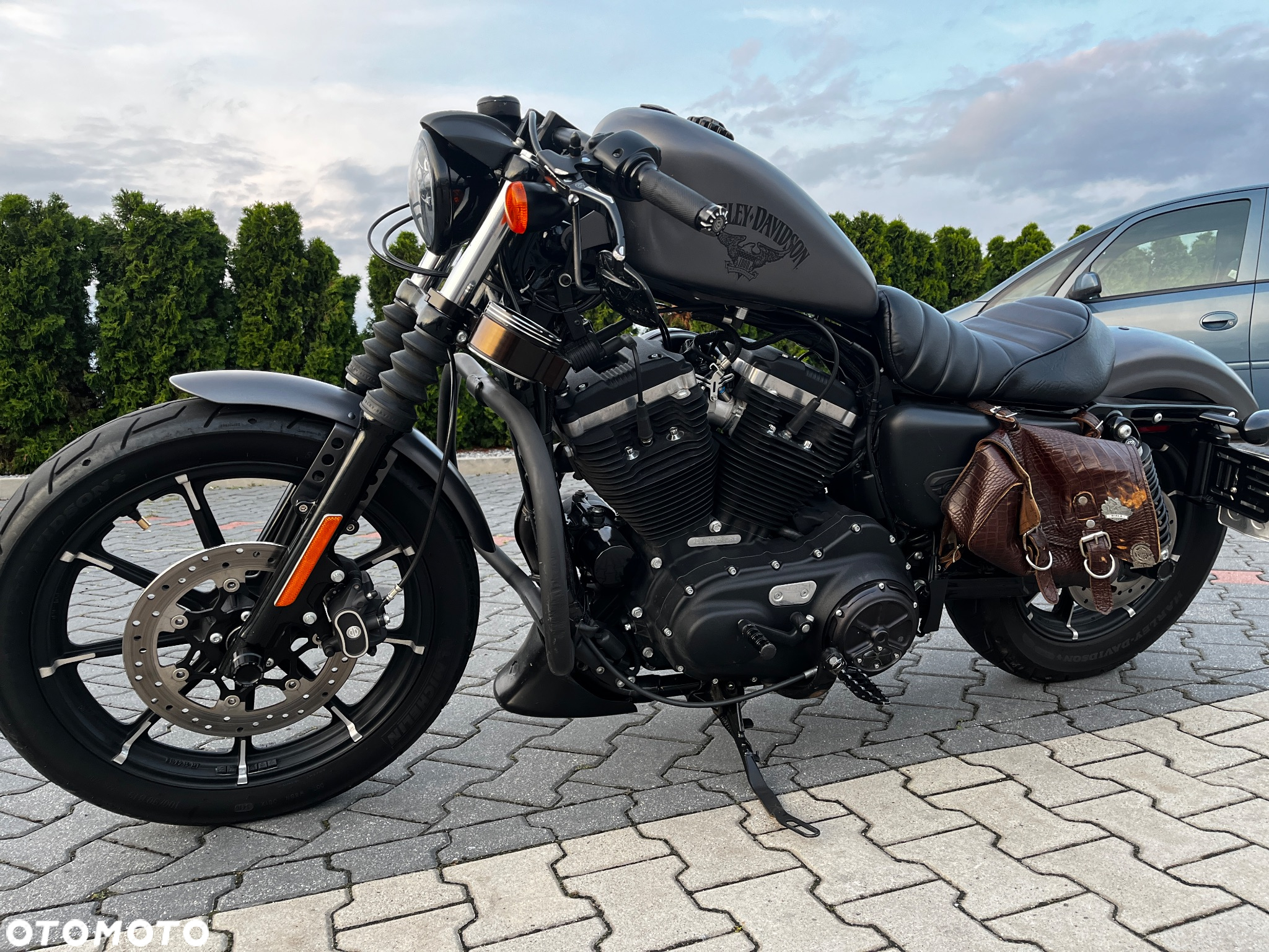 Harley-Davidson Sportster Iron 883 - 5