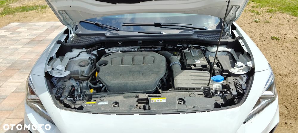 Cupra Formentor 2.0 TSI VZ DSG - 10