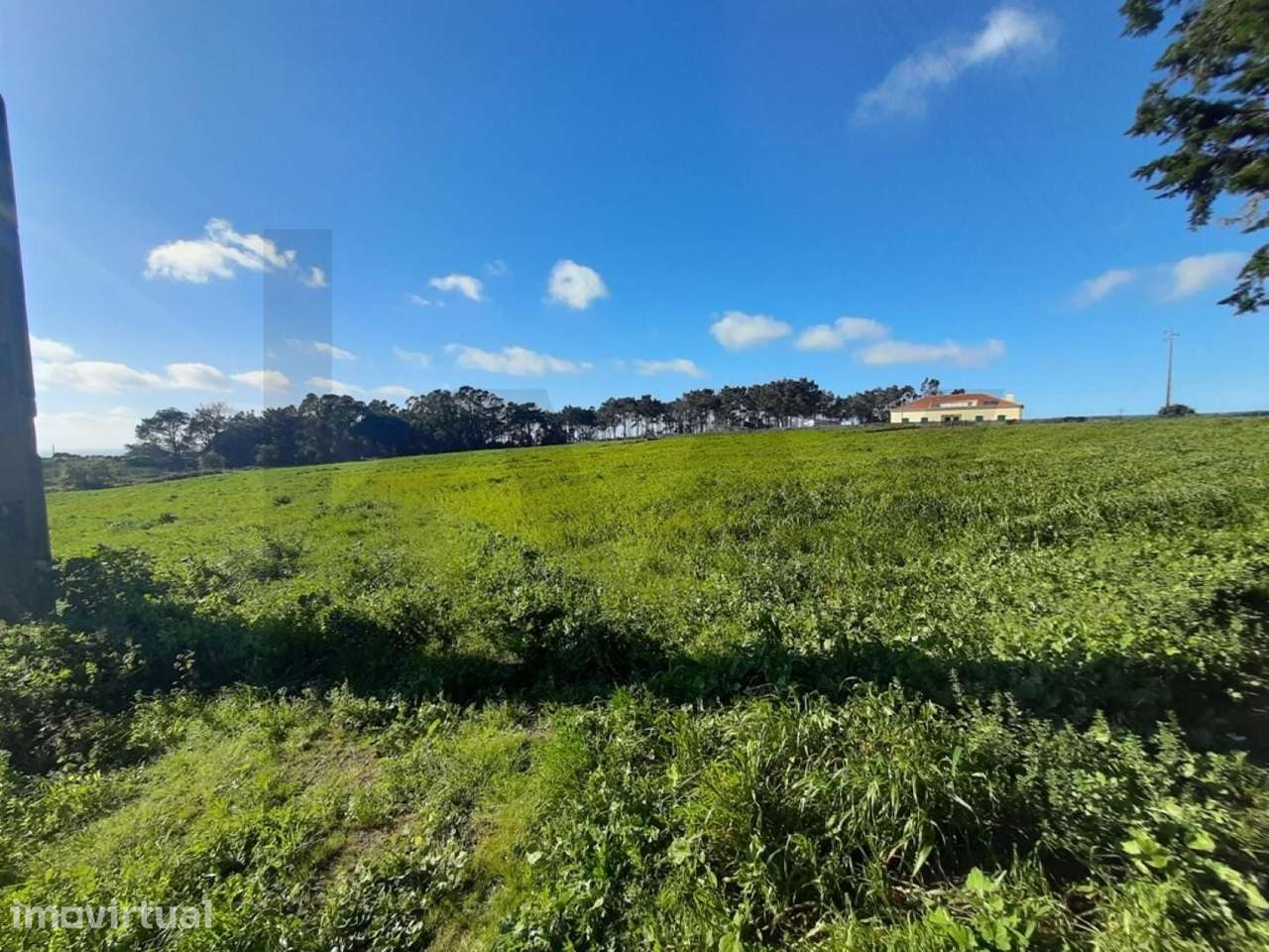 Terreno para Empreendimento Turístico | Ericeira | 18.180 m2 | PIP em - Grande imagem: 4/11