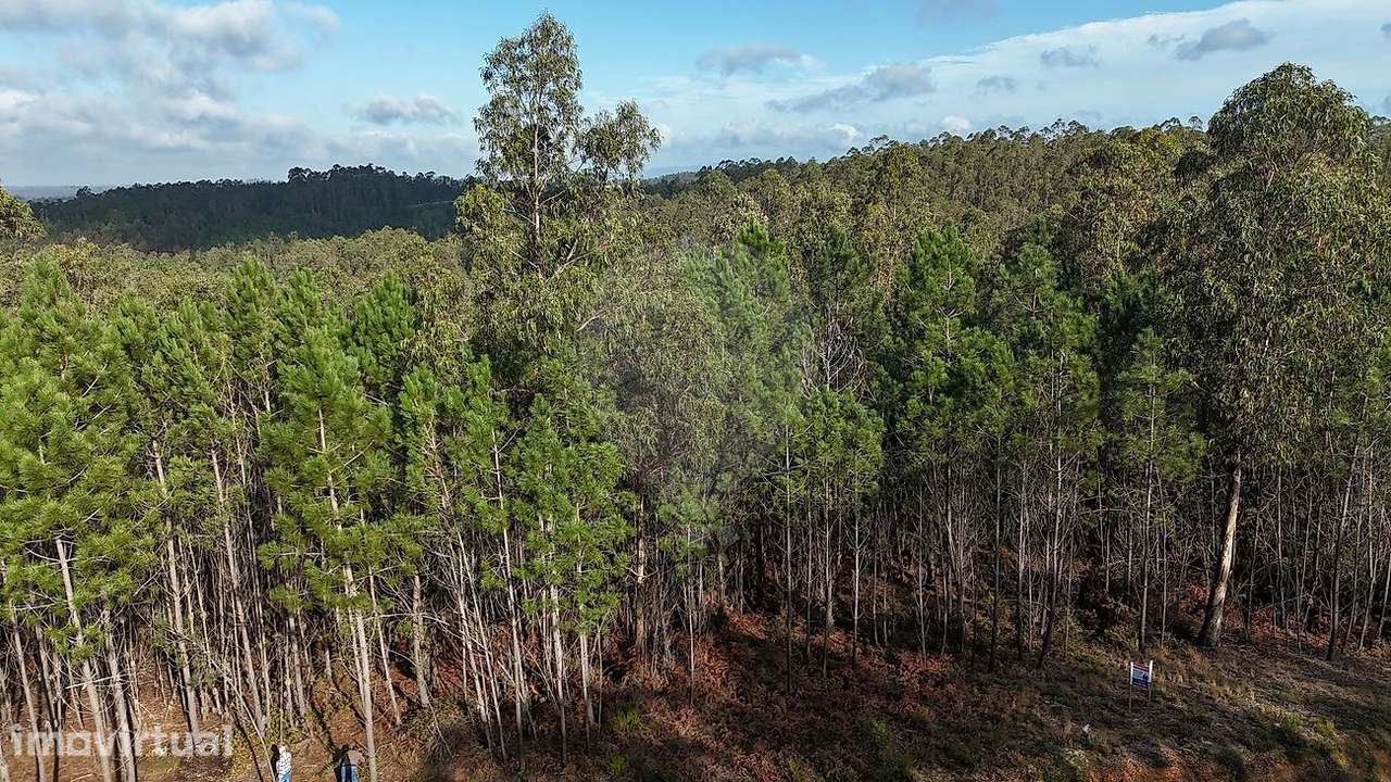 Terreno  para venda - Grande imagem: 2/3