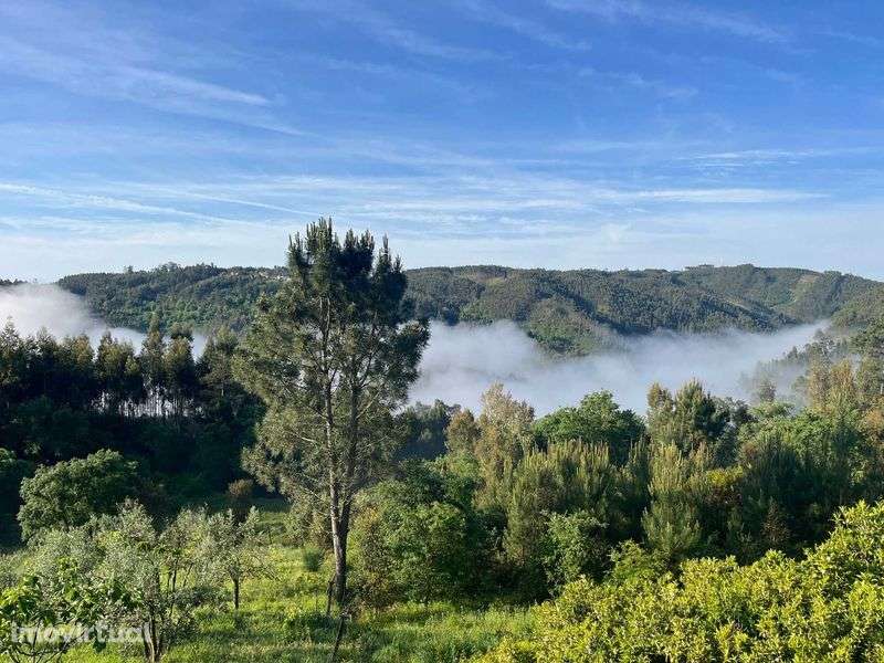 renovated modernized village-edge house, open-plan, veg garden, studio - Grande imagem: 5/11