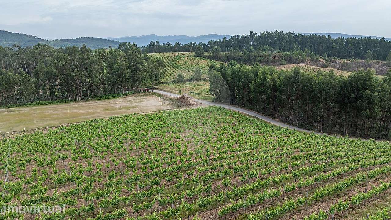 Terreno  para venda - Grande imagem: 5/16