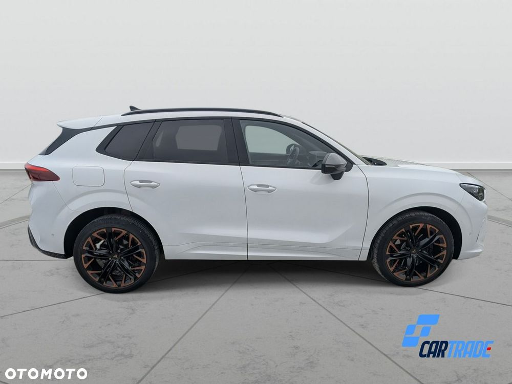 Cupra Terramar - 8
