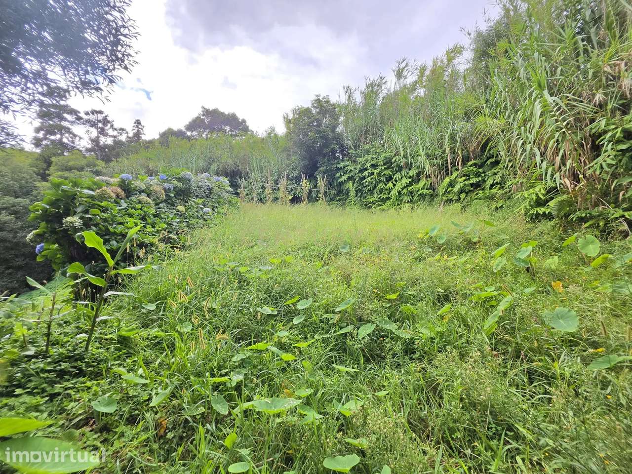 Terreno Rustico com 1.460 m² nos Remédios – Ponta Delgada - Grande imagem: 5/11