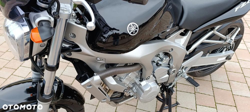 Yamaha FZ6 - 15