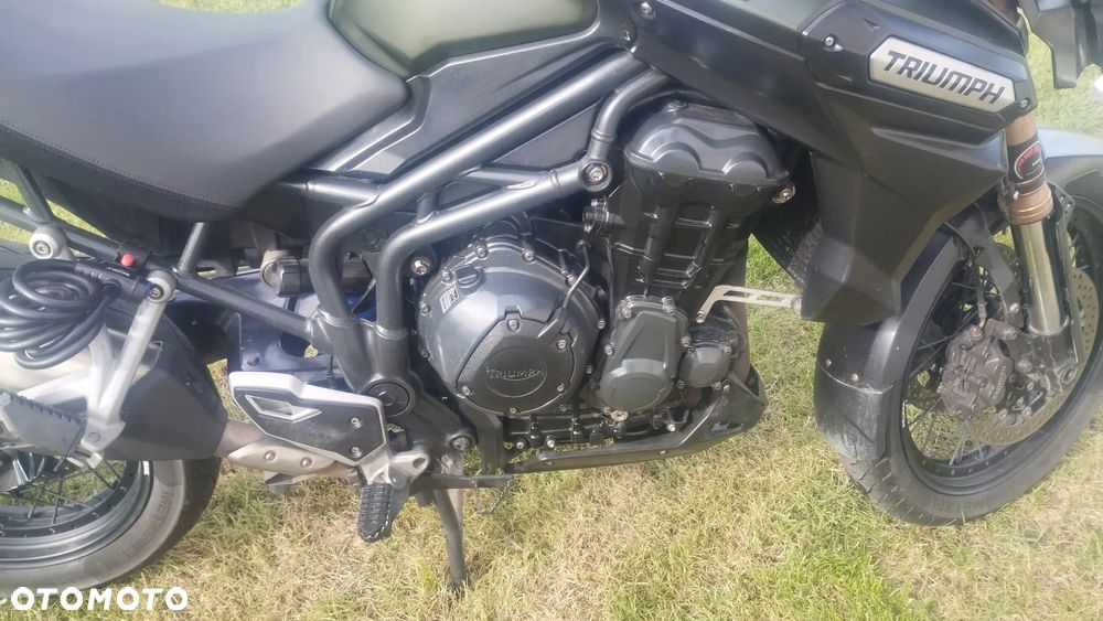 Triumph Tiger - 17