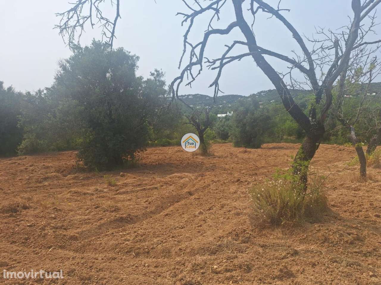 Terreno Rústico em Bordeira no concelho de Faro - Grande imagem: 3/20