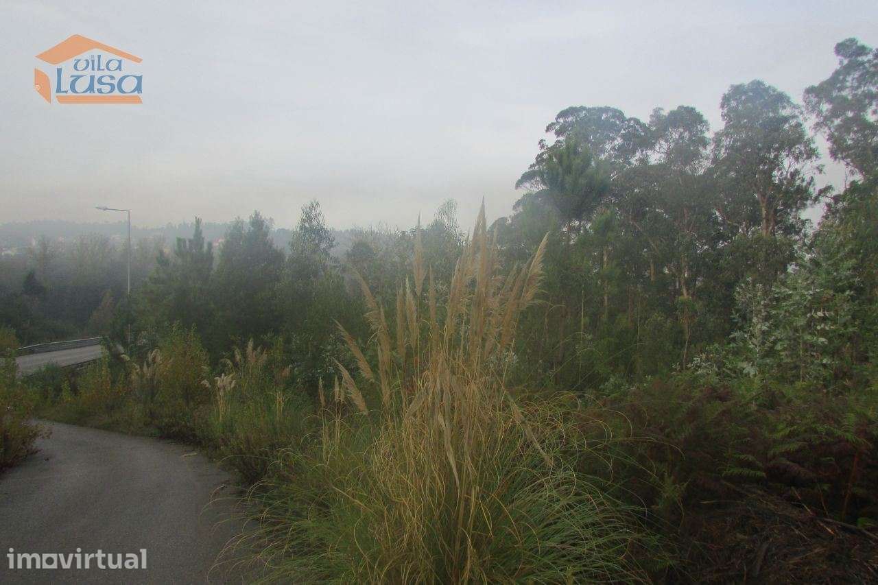 Terreno florestal , Pedroso com 3.682 m2 fáceis acessos - Grande imagem: 5/7