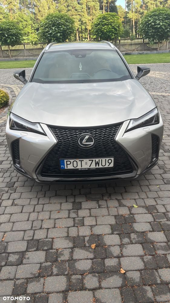 Lexus UX 250h GPF F Sport Design 2WD - 2