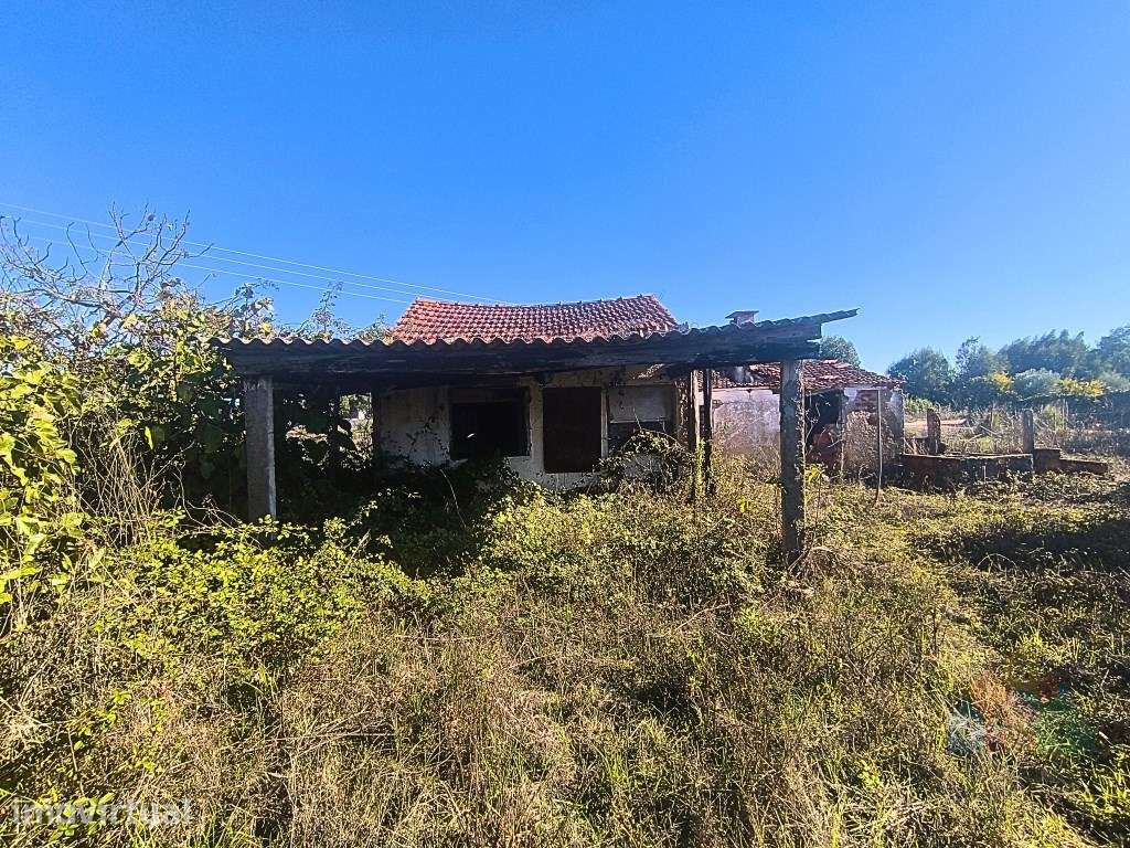Moradia com terreno (3980 m2 com poço) no Entroncamento - Grande imagem: 2/14