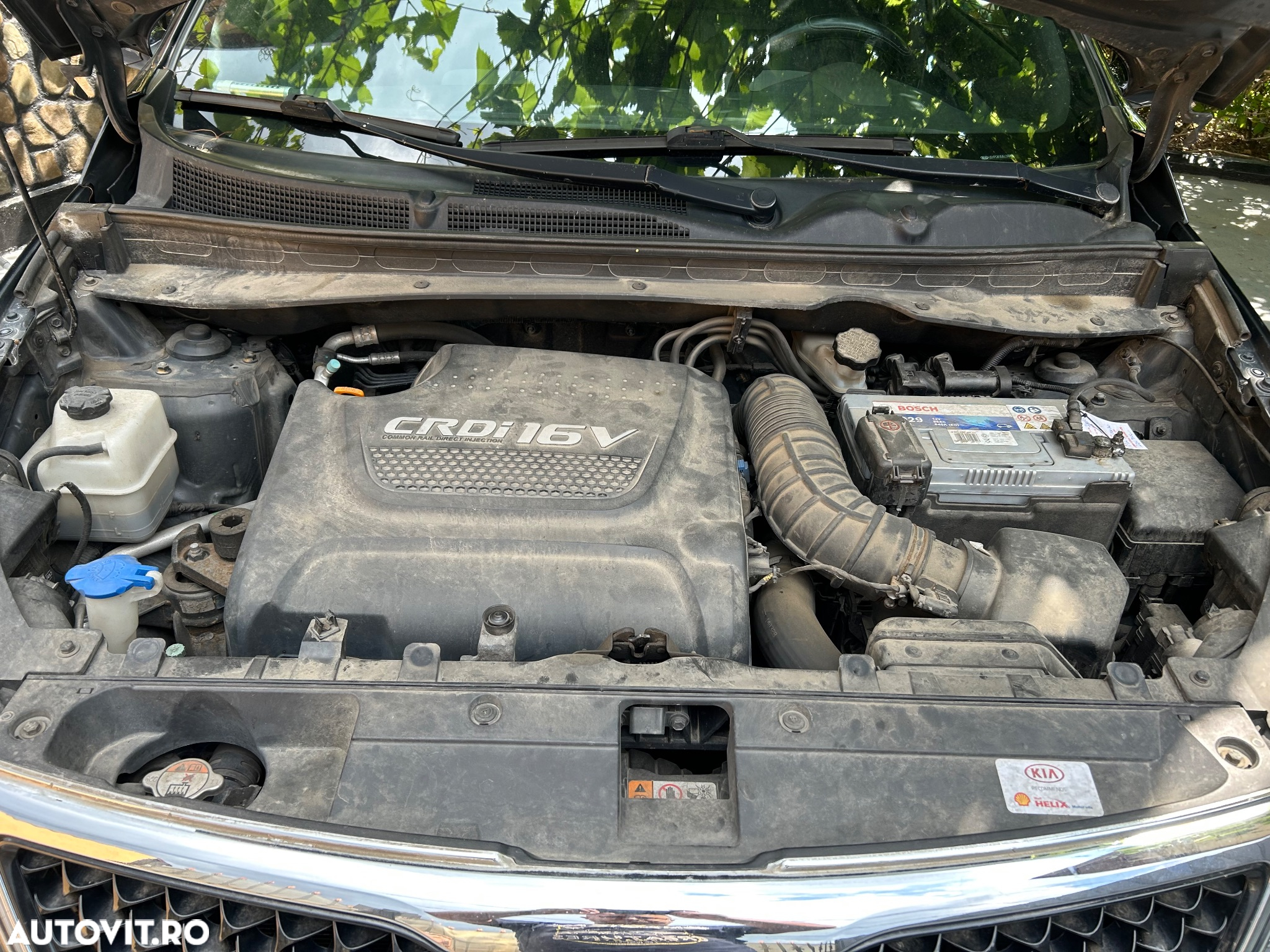 Kia Sportage - 31