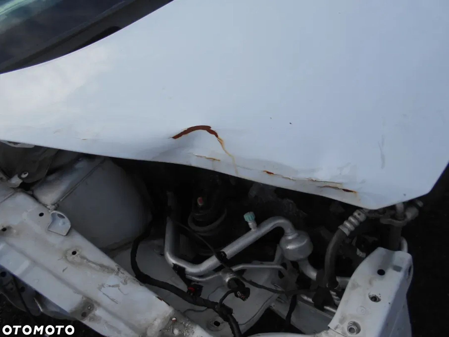 KIA VENGA MASKA PRZÓD KOLOR 7F - 2