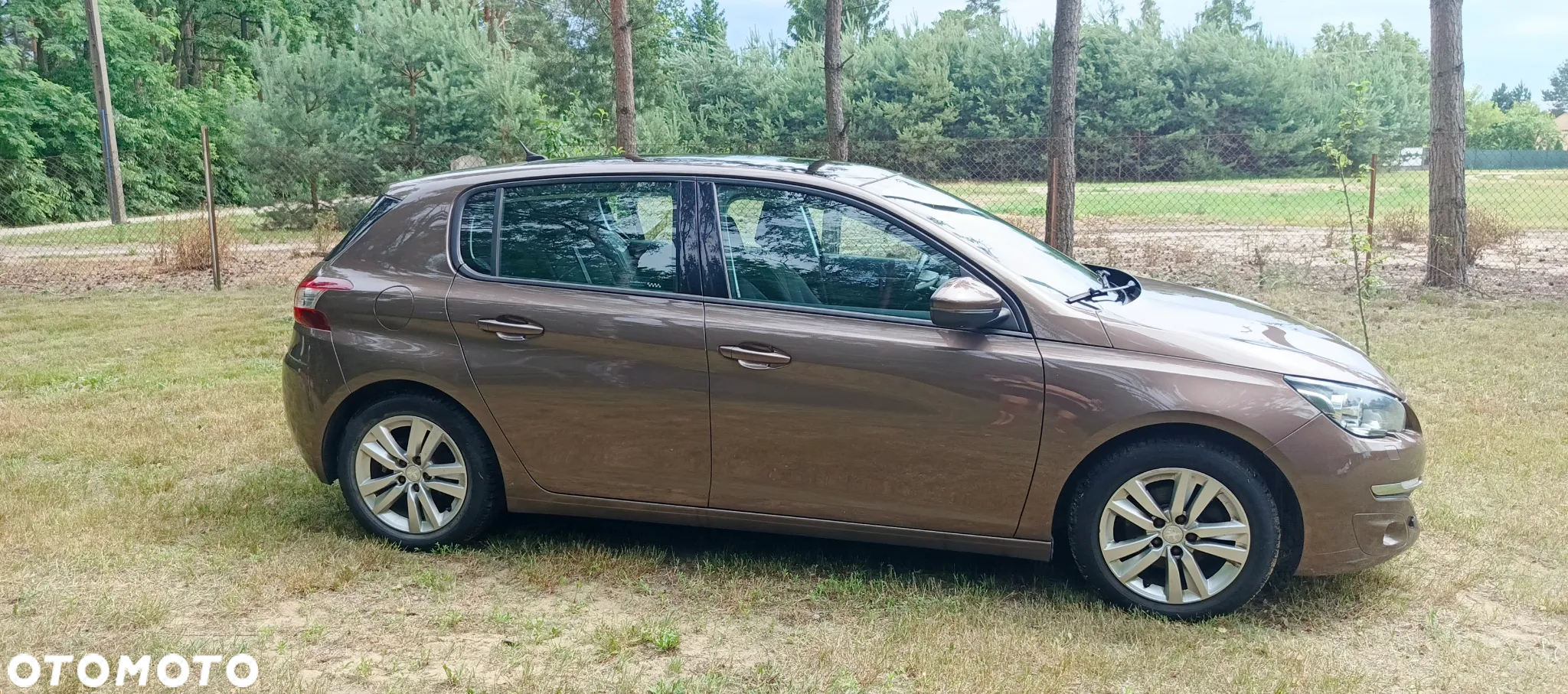 Peugeot 308 - 4