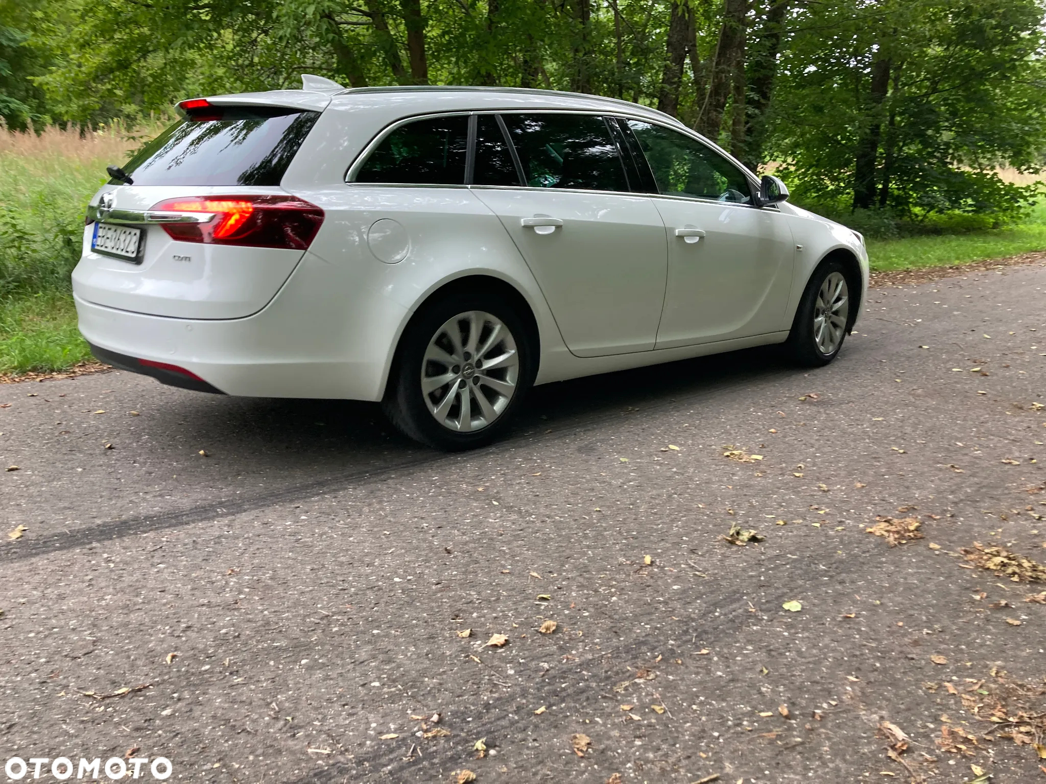 Opel Insignia 2.0 CDTI Exclusive S&S - 20