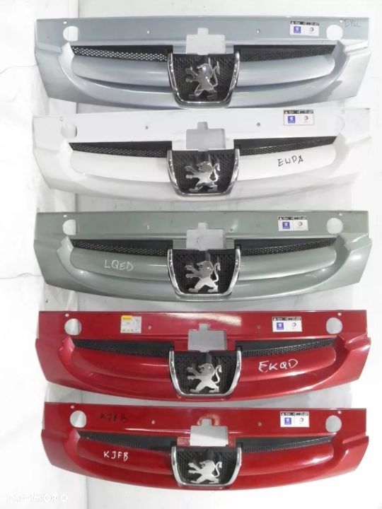 PARTNER 02-08r GRILL ATRAPA EWPA EZRC - 1