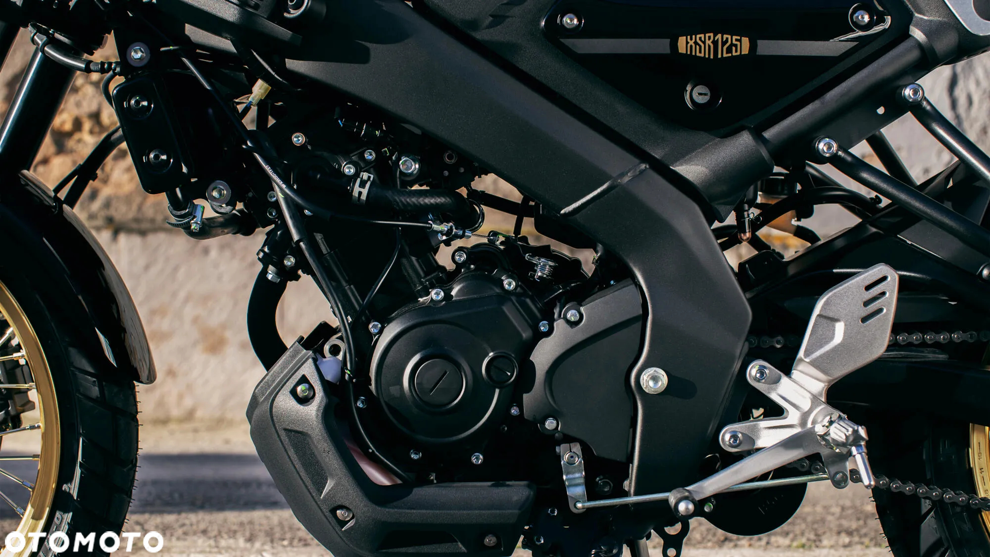 Yamaha XSR - 29