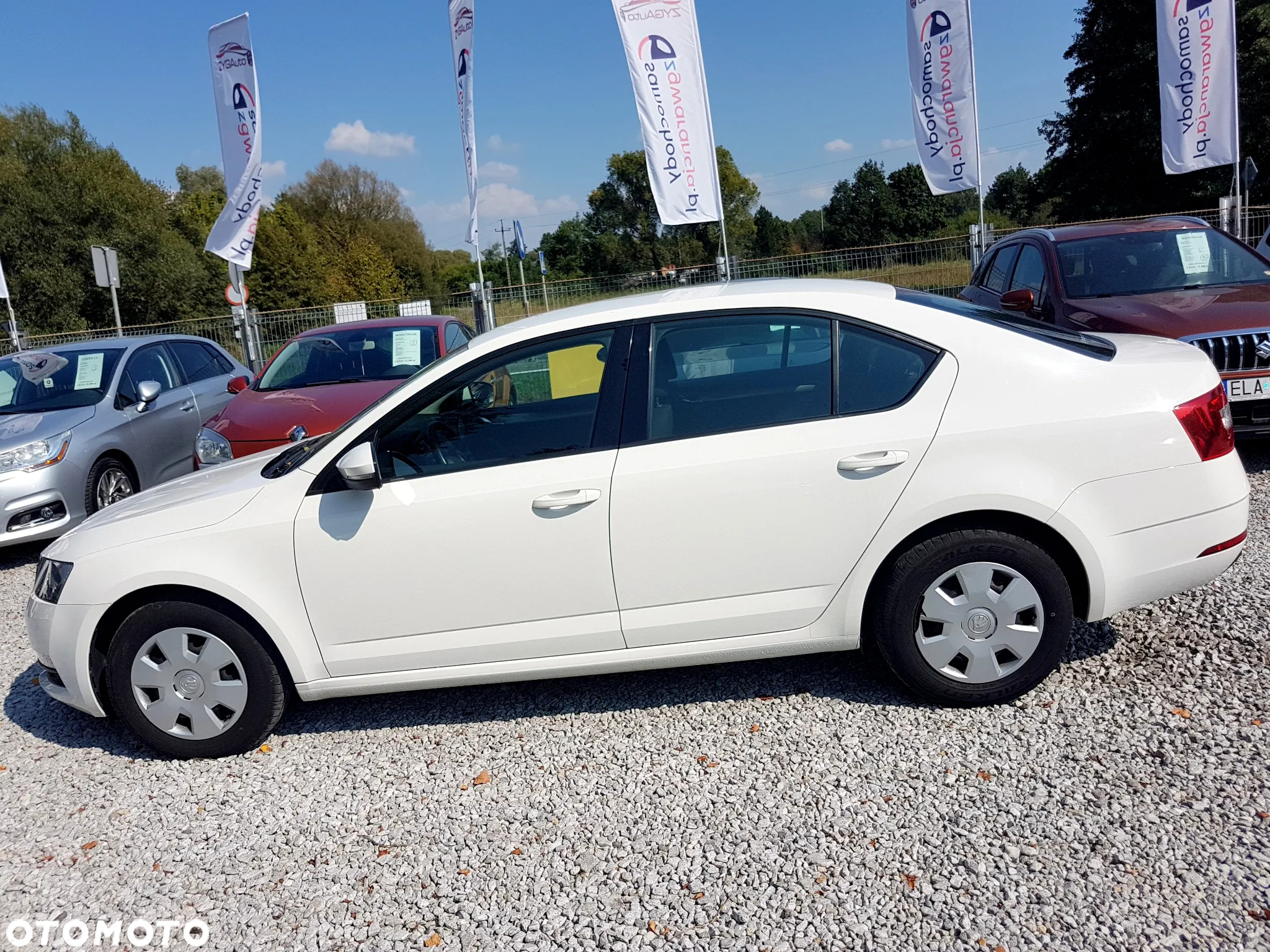 Skoda Octavia 1.6 TDI Active - 17