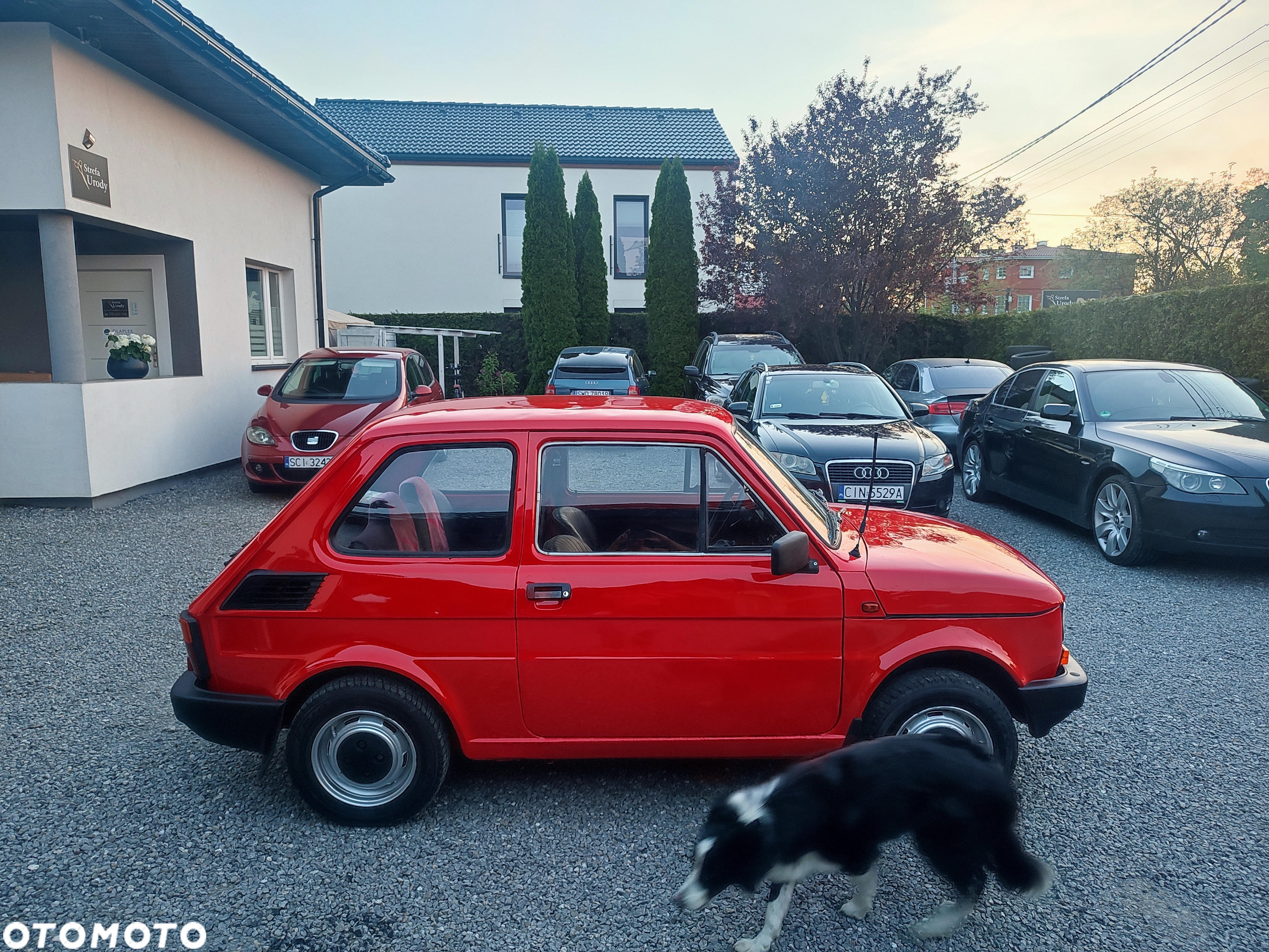 Fiat 126 - 9