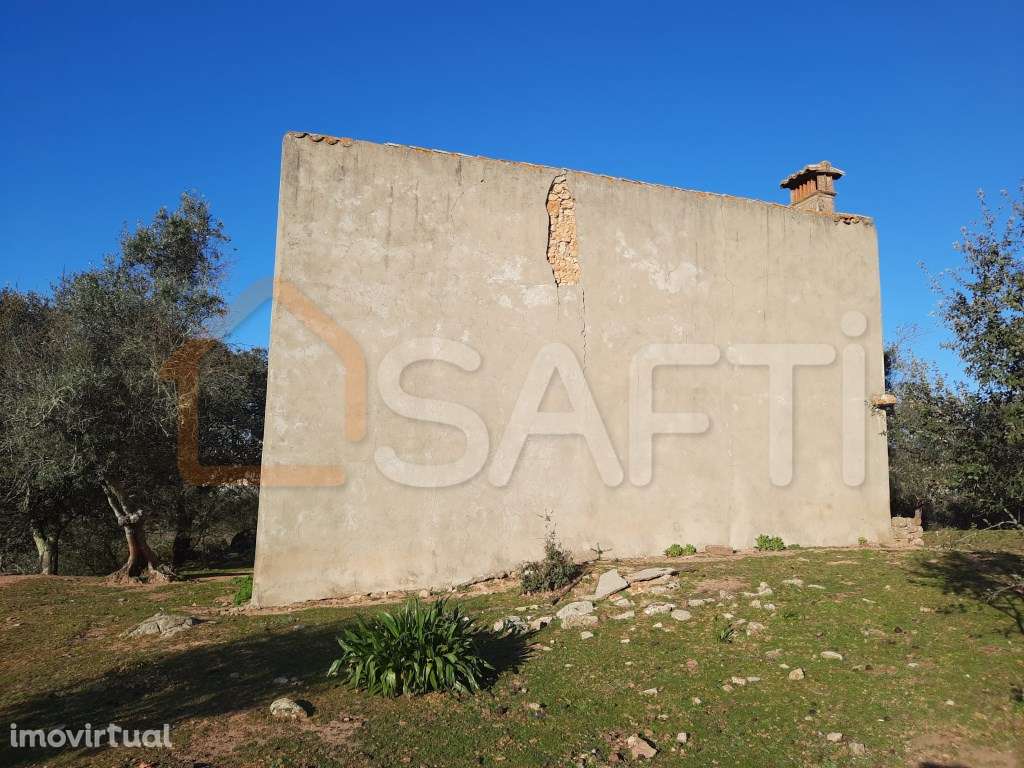 Quinta - Portalegre - Grande imagem: 4/26