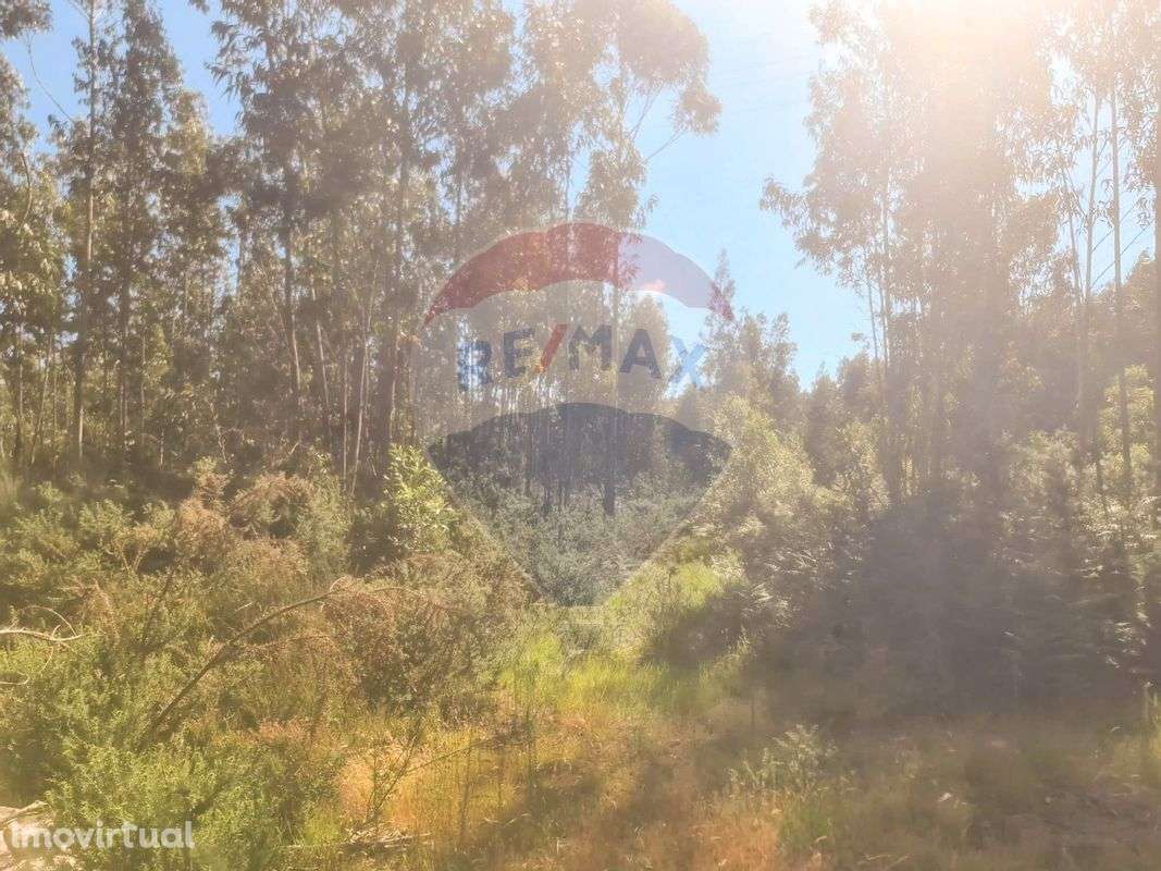 Terreno  para venda - Grande imagem: 3/6